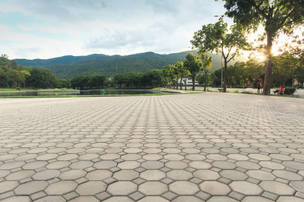 Best Interlocking Driveway Pavers  in Inverness, CA